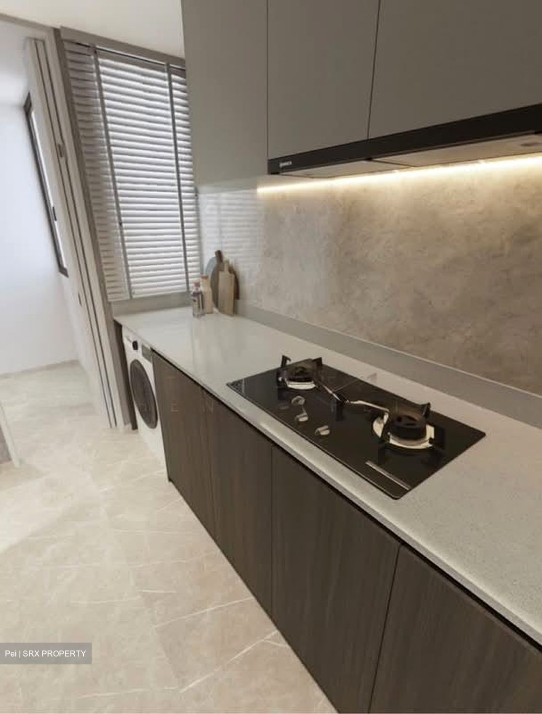 The Myst (D23), Condominium #552263491